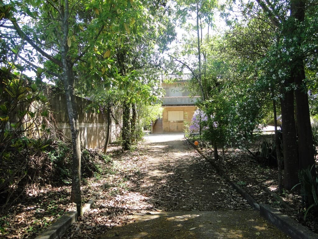 Avenida Celina Ferreira Ottoni, nº 3591 - Bairro Sion — foto 3