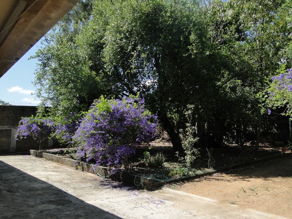 Avenida Celina Ferreira Ottoni, nº 3591 - Bairro Sion — foto 4