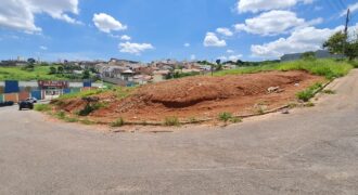 Rua Edelza Paiva Tavares, Lote 10, Quadra “C” – Bairro Parque das Grevíleas